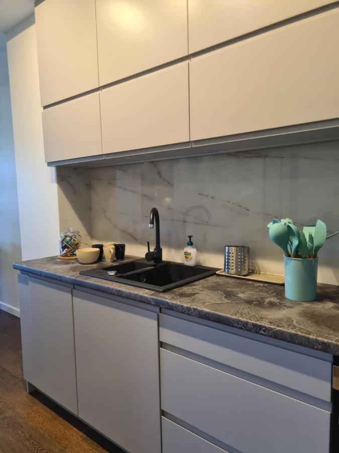 Venice Villa Apartment, Self Check-In 24H, Free Parking Poznań Zewnętrze zdjęcie