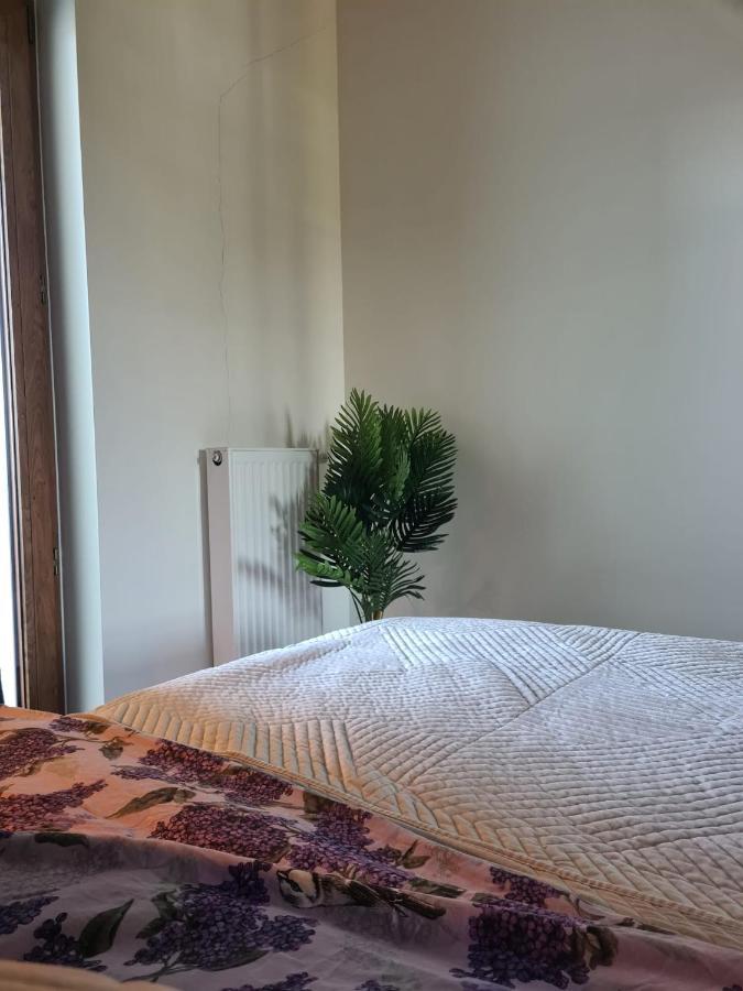 Venice Villa Apartment, Self Check-In 24H, Free Parking Poznań Zewnętrze zdjęcie